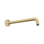 Держатель потолочной лейки Hansgrohe 27413140